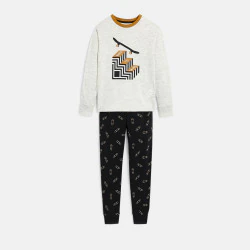 Boy's grey 2-piece printed jersey pyjamas